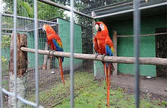 Quina do Sol - Foto 1