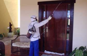 Nordeste Dedetizações - Foto 1