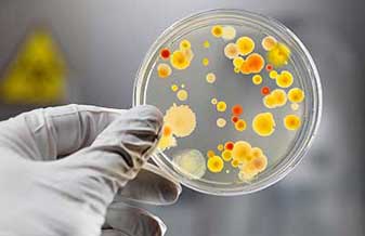 Hospital Doutor João Elisio de Holanda - Foto 1