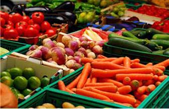 Hortifruti Ganjeiro do Chaparral - Foto 1