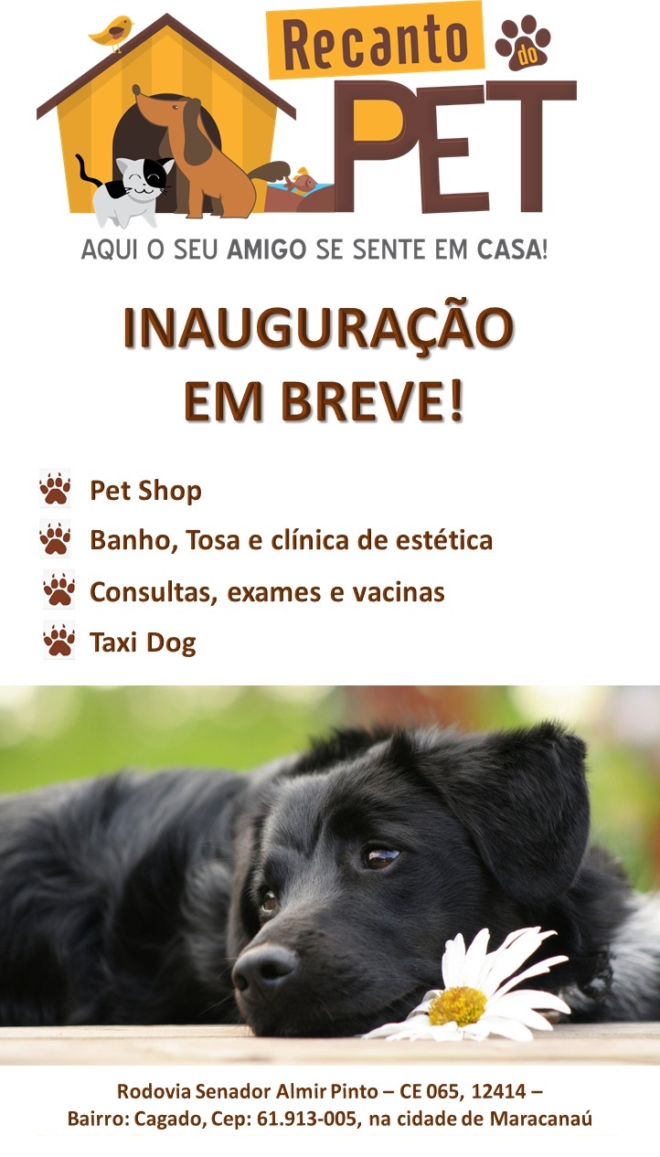 Recanto do Pet - Foto 3
