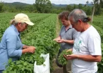 segurança alimentar