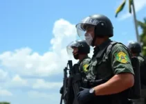segurança pública