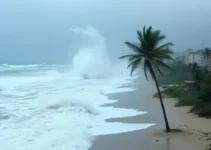 Ceará